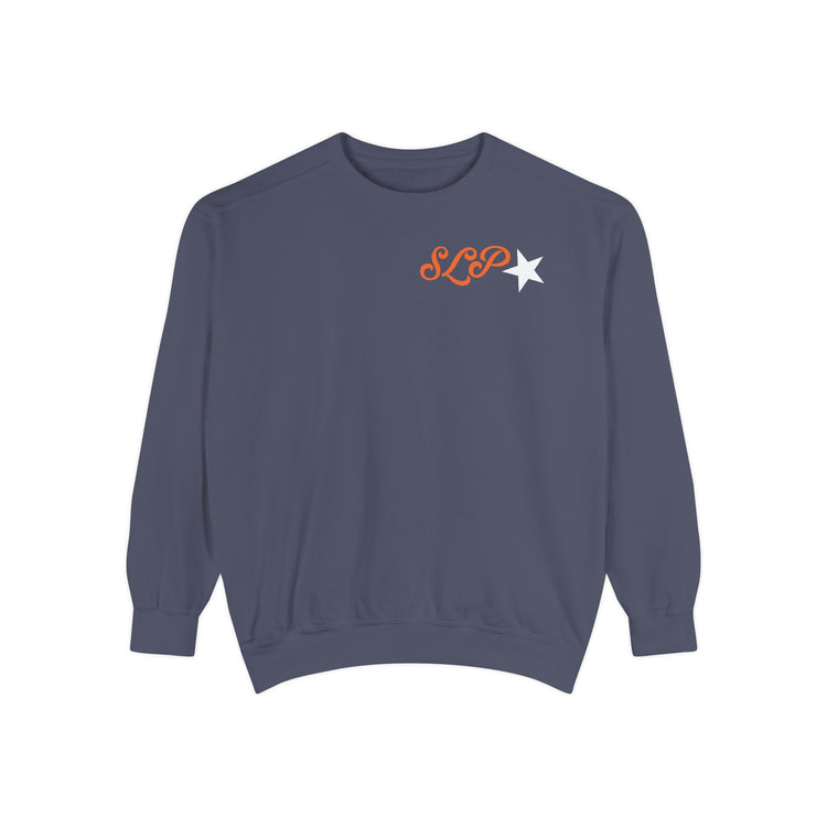 don't talk to me i'm writing reports front/back comfort colors crewneck