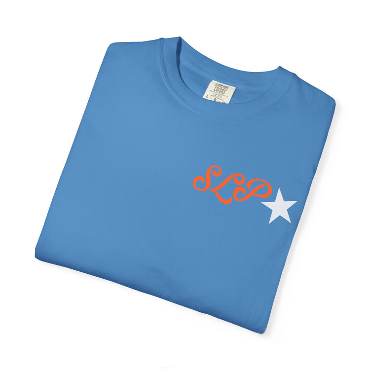 don't talk to me i'm writing reports front/back comfort colors tee