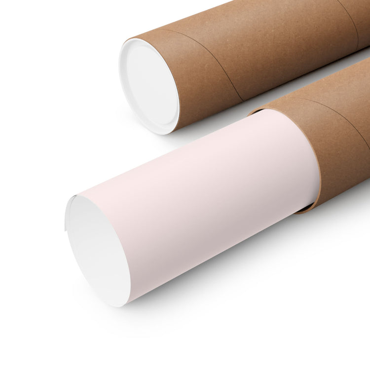 SLP scope pink wall poster