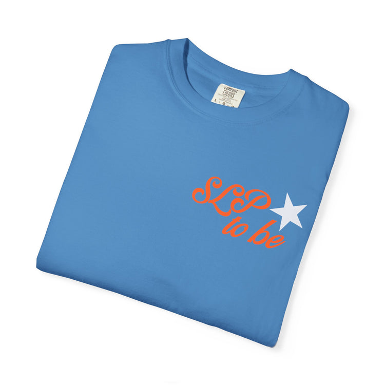 don't talk to me i'm in grad school front/back comfort colors tee