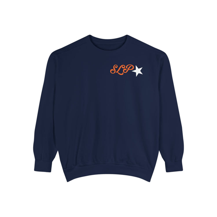 don't talk to me i'm writing reports front/back comfort colors crewneck