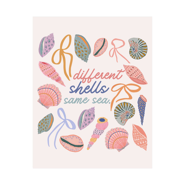 different shells, same sea wall poster