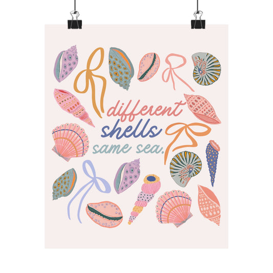 different shells, same sea wall poster