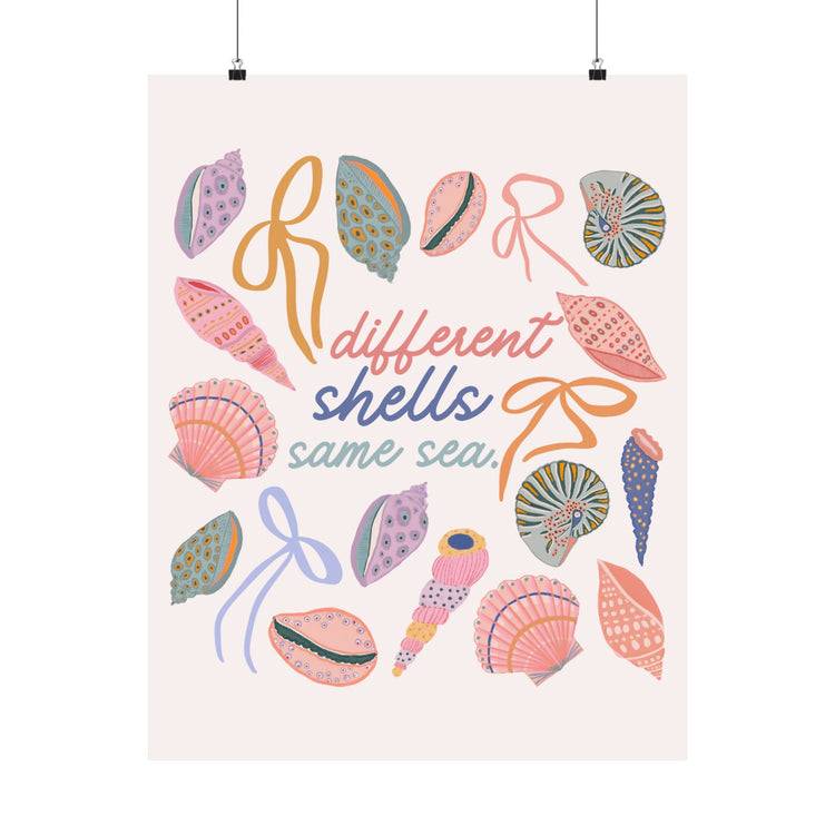 different shells, same sea wall poster