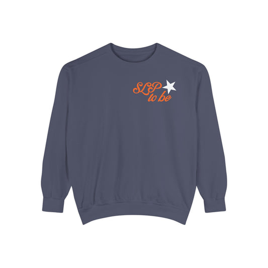 don't talk to me i'm in grad school front/back comfort colors crewneck