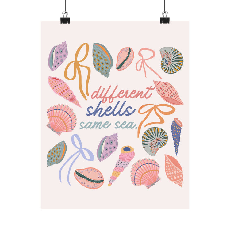 different shells, same sea wall poster