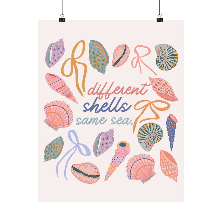 different shells, same sea wall poster