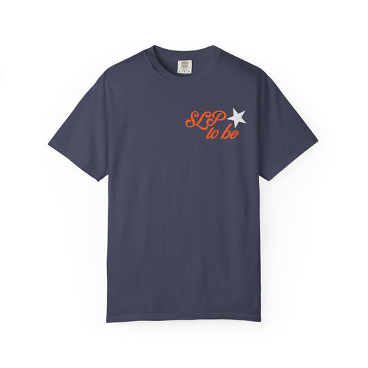 don't talk to me i'm in grad school front/back comfort colors tee
