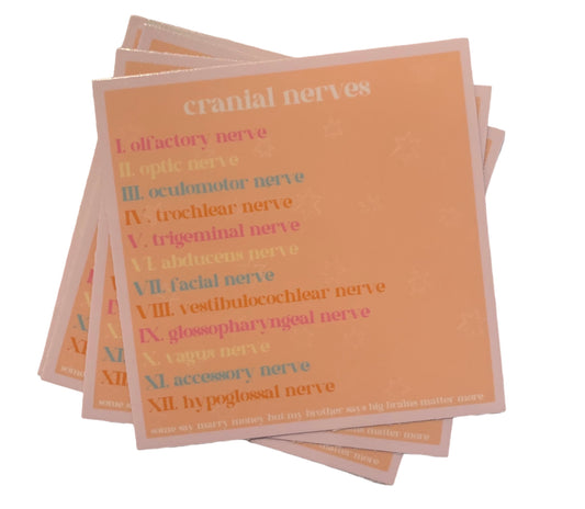 cranial nerves SLP sticker